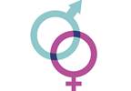 Effects of Sex-Dependent On-Treatment LDL Diferences on CVD Risk Effects of Sex-Dependent On-Treatment LDL Diferences on CVD Risk