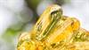 Examining the Relationship Between Vitamin D and Progressive Multiple Sclerosis Examining the Relationship Between Vitamin D and Progressive Multiple Sclerosis