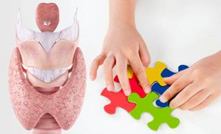 Results suggest that processing speed may be more sensitive to changes in thyroid function. Results suggest that processing speed may be more sensitive to changes in thyroid function.