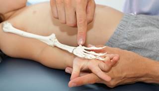 Using dual-energy X-ray absorptiometry for bone age assessment complements traditional radiologic assessment. Using dual-energy X-ray absorptiometry for bone age assessment complements traditional radiologic assessment.