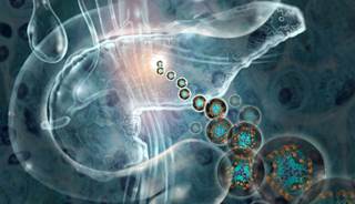 Eighty-three veterans with PTSD participated in a study examining biological pathways between PTSD and metabolic diseases. <i>Image credit: Jim Dowdalls/Science Source</i> Eighty-three veterans with PTSD participated in a study examining biological pathways between PTSD and metabolic diseases. <i>Image credit: Jim Dowdalls/Science Source</i>