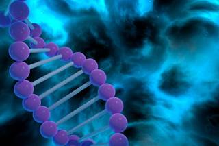 UK Biobank data identified individuals at high risk to develop late-in-life type 1 diabetes, based on the presence of specific human leukocyte antigens. UK Biobank data identified individuals at high risk to develop late-in-life type 1 diabetes, based on the presence of specific human leukocyte antigens.