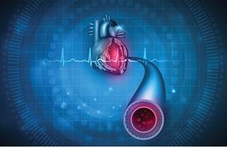 More research is needed to explore the long-term effects of cross-sex hormone therapy on cardiovascular health in transgender men and women. More research is needed to explore the long-term effects of cross-sex hormone therapy on cardiovascular health in transgender men and women.