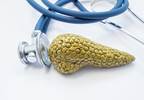 Glucagon Response to Hypoglycemia Altered in Diabetes Secondary to Chronic Pancreatitis Glucagon Response to Hypoglycemia Altered in Diabetes Secondary to Chronic Pancreatitis