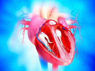 The safety of established treatments for diabetes in patients with heart failure is uncertain. The safety of established treatments for diabetes in patients with heart failure is uncertain.