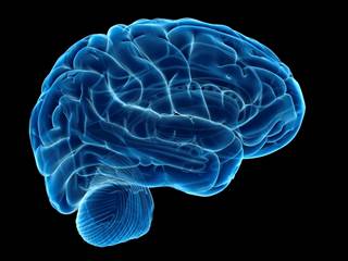 Despite similar plasma glucose levels at baseline and during hyperglycemia, the change in intracerebral glucose was significantly different across groups. Despite similar plasma glucose levels at baseline and during hyperglycemia, the change in intracerebral glucose was significantly different across groups.
