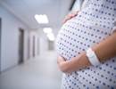Validity of Pulmonary Embolism Prediction Scores in Pregnant, Postpartum Women Validity of Pulmonary Embolism Prediction Scores in Pregnant, Postpartum Women