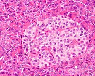 Researchers prospectively recorded parental reports of most common antibiotics, including cephalosporins, penicillins, and macrolides. Researchers prospectively recorded parental reports of most common antibiotics, including cephalosporins, penicillins, and macrolides.