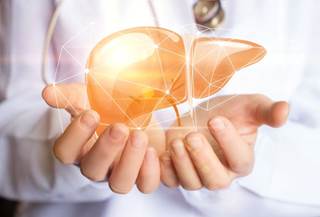 In a recent study, liver blood flow was higher in obese subjects at baseline and increased even further postoperatively. In a recent study, liver blood flow was higher in obese subjects at baseline and increased even further postoperatively.