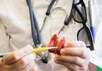 Unexplained Infertility Linked to Higher Thyroid-Stimulating Hormone in Women Unexplained Infertility Linked to Higher Thyroid-Stimulating Hormone in Women