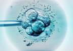 Pregnancy Rates in Women Undergoing IVF With Fresh vs Frozen Embryos Pregnancy Rates in Women Undergoing IVF With Fresh vs Frozen Embryos