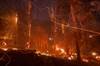 Case: A 67-Year-Old Man With Shortness of Breath After Wildfires Case: A 67-Year-Old Man With Shortness of Breath After Wildfires