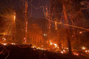 Case: A 67-Year-Old Man With Shortness of Breath After Wildfires Case: A 67-Year-Old Man With Shortness of Breath After Wildfires