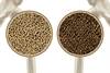 Abatacept May Improve Femoral Neck Bone Mineral Density in Rheumatoid Arthritis Abatacept May Improve Femoral Neck Bone Mineral Density in Rheumatoid Arthritis