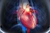 Effect of High Androgen Levels on Cardiovascular Risk in Postmenopausal Women Effect of High Androgen Levels on Cardiovascular Risk in Postmenopausal Women