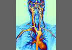 Antidiabetic Drugs and Cardiovascular Risk: Expert Perspectives Antidiabetic Drugs and Cardiovascular Risk: Expert Perspectives