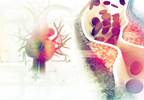 Risk Factors for Cardiovascular Disease in Youth With Type 1 Diabetes Risk Factors for Cardiovascular Disease in Youth With Type 1 Diabetes