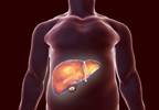 Obesity Can Negatively Effect Liver in Children as Young as 8 Obesity Can Negatively Effect Liver in Children as Young as 8