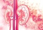 Kidney Failure Risk Minimal Following Diabetes Diagnosis Kidney Failure Risk Minimal Following Diabetes Diagnosis