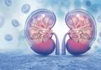 More Rapid Decline in Kidney Function for Diagnosed Diabetes More Rapid Decline in Kidney Function for Diagnosed Diabetes