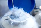 Factors Associated With Decision Regret After Elective Oocyte Cryopreservation Factors Associated With Decision Regret After Elective Oocyte Cryopreservation