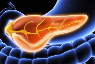 Human pancreatic polypeptide values were not significantly different in patients with tumors located in the head vs body or tail of pancreas. Human pancreatic polypeptide values were not significantly different in patients with tumors located in the head vs body or tail of pancreas.