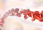 Safety of DPP-IV Inhibitor, Cardiovascular Events After ACS in Type 2 Diabetes Safety of DPP-IV Inhibitor, Cardiovascular Events After ACS in Type 2 Diabetes