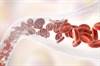 Safety of DPP-IV Inhibitor, Cardiovascular Events After ACS in Type 2 Diabetes Safety of DPP-IV Inhibitor, Cardiovascular Events After ACS in Type 2 Diabetes