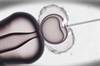 Reduced Mortality for Women Undergoing Assisted Reproduction Likely Due to "Healthy Patient Effect" Reduced Mortality for Women Undergoing Assisted Reproduction Likely Due to "Healthy Patient Effect"