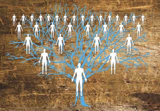 Specific kinship patterns were associated with incident type 2 diabetes in Americans of European ancestry, but not in Americans of African ancestry. Specific kinship patterns were associated with incident type 2 diabetes in Americans of European ancestry, but not in Americans of African ancestry.