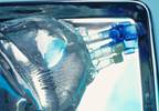 ISPAD Issues Consensus Statement on Diabetic Ketoacidosis and Hyperglycemia ISPAD Issues Consensus Statement on Diabetic Ketoacidosis and Hyperglycemia