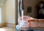 Incidence of Diabetes Influenced by Endocrine-Disrupting Chemicals in the Environment Incidence of Diabetes Influenced by Endocrine-Disrupting Chemicals in the Environment