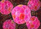 β-Cell Function in Youth With Impaired Glucose Tolerance, T2D β-Cell Function in Youth With Impaired Glucose Tolerance, T2D