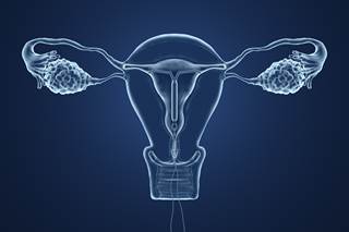 The announcement comes after years of claims by thousands of American women who used the implant that Essure caused serious problems. The announcement comes after years of claims by thousands of American women who used the implant that Essure caused serious problems.