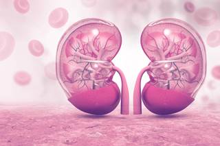 Urine lactate, citrate, fumarate, and malate levels differed significantly between patients with diabetes who had progressive CKD and those with stable renal function. Urine lactate, citrate, fumarate, and malate levels differed significantly between patients with diabetes who had progressive CKD and those with stable renal function.