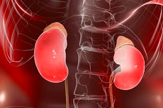 Ethnic minorities, in particular, bear a large burden of diabetes and diabetic kidney disease. Ethnic minorities, in particular, bear a large burden of diabetes and diabetic kidney disease.