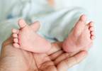 Perinatal Exposure to Air Pollution Linked to Newborn Thyroid Function Perinatal Exposure to Air Pollution Linked to Newborn Thyroid Function