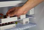 Domestic Refrigeration May Pose Underestimated Risk for Insulin Quality Domestic Refrigeration May Pose Underestimated Risk for Insulin Quality
