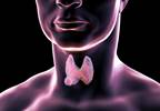 Preventing Unnecessary Thyroid Biopsies: A Comparison of 5 Sonographic Risk Stratification Systems Preventing Unnecessary Thyroid Biopsies: A Comparison of 5 Sonographic Risk Stratification Systems