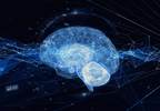 An Introduction to Deep Learning and Neural Networks and Their Utility in Health Care An Introduction to Deep Learning and Neural Networks and Their Utility in Health Care