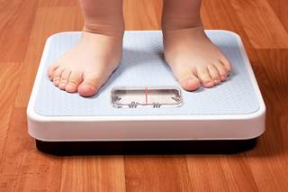 Understanding the early life predictors of obesity in adulthood is important for developing and testing preventive interventions. Understanding the early life predictors of obesity in adulthood is important for developing and testing preventive interventions.